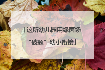 这所幼儿园用绿茵场“破题”幼小衔接