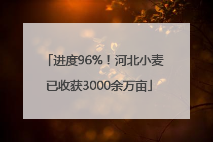 进度96%！河北小麦已收获3000余万亩