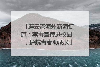 连云港海州新海街道：禁毒宣传进校园，护航青春助成长