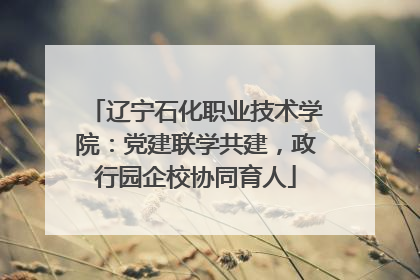 辽宁石化职业技术学院：党建联学共建，政行园企校协同育人