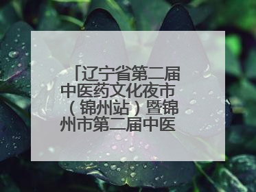 辽宁省第二届中医药文化夜市（锦州站）暨锦州市第二届中医康养夜市启幕