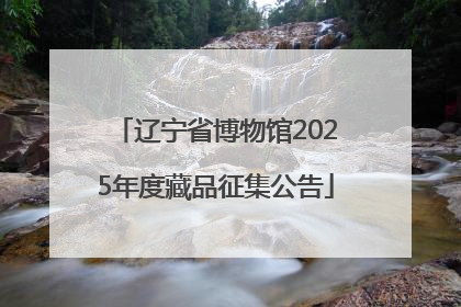 辽宁省博物馆2025年度藏品征集公告