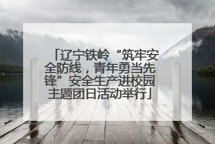 辽宁铁岭“筑牢安全防线，青年勇当先锋”安全生产进校园主题团日活动举行