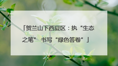 贺兰山下西夏区：执“生态之笔” 书写“绿色答卷”