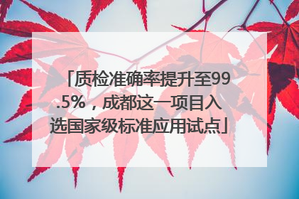 质检准确率提升至99.5%，成都这一项目入选国家级标准应用试点