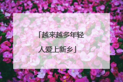 越来越多年轻人爱上新乡