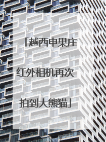 越西申果庄红外相机再次拍到大熊猫