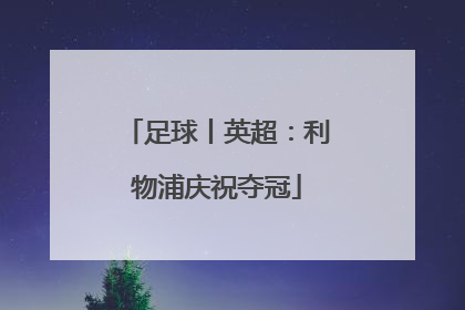 足球丨英超：利物浦庆祝夺冠