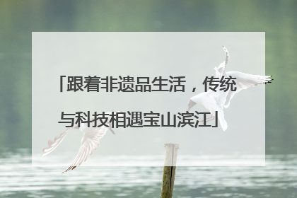 跟着非遗品生活，传统与科技相遇宝山滨江
