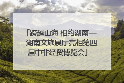 跨越山海 相约湖南——湖南文旅展厅亮相第四届中非经贸博览会