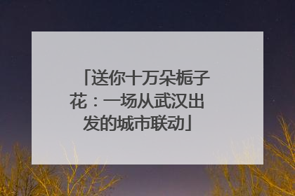 送你十万朵栀子花：一场从武汉出发的城市联动