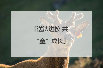 送法进校 共“童”成长