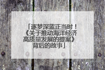 逐梦深蓝正当时！《关于推动海洋经济高质量发展的提案》背后的故事