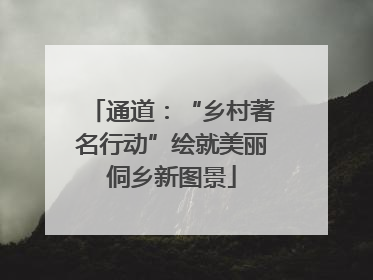 通道：“乡村著名行动”绘就美丽侗乡新图景