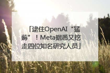 逮住OpenAI“猛薅”！Meta据悉又挖走四位知名研究人员