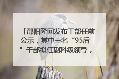 邵阳隆回发布干部任前公示，其中三名“95后”干部拟任副科级领导，均系硕士选调生