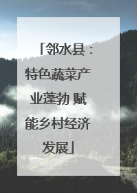 邻水县：特色蔬菜产业蓬勃 赋能乡村经济发展