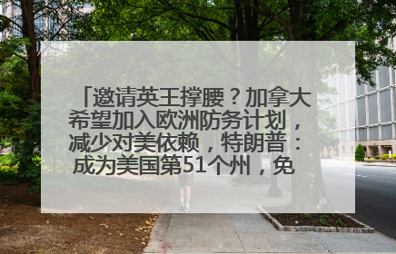 邀请英王撑腰？加拿大希望加入欧洲防务计划，减少对美依赖，特朗普：成为美国第51个州，免费用“金穹”