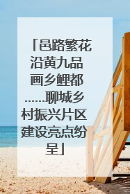 邑路繁花 沿黄九品 画乡鲤都……聊城乡村振兴片区建设亮点纷呈
