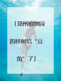 郑州植物园的梓树结“豆角”了