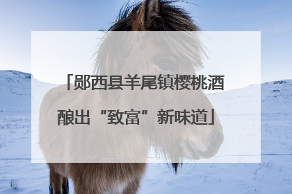 郧西县羊尾镇樱桃酒酿出“致富”新味道