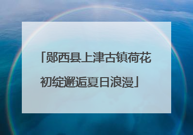 郧西县上津古镇荷花初绽邂逅夏日浪漫