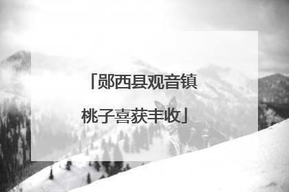 郧西县观音镇桃子喜获丰收
