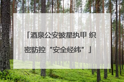 酒泉公安披星执甲 织密防控“安全经纬”