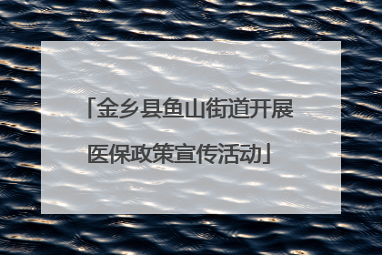 金乡县鱼山街道开展医保政策宣传活动