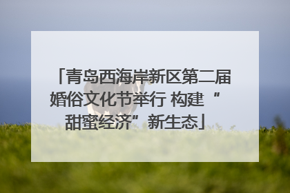 青岛西海岸新区第二届婚俗文化节举行 构建“甜蜜经济”新生态