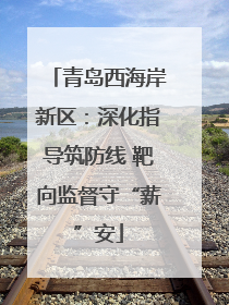 青岛西海岸新区：深化指导筑防线 靶向监督守“薪”安
