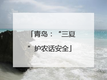 青岛：“三夏”护农话安全