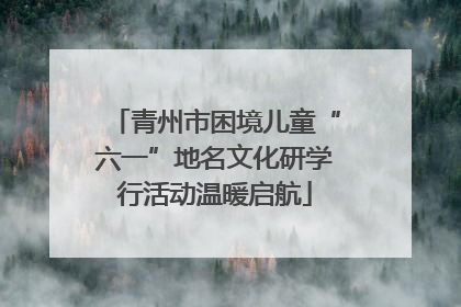 青州市困境儿童“六一”地名文化研学行活动温暖启航