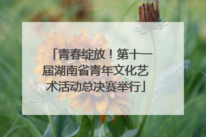 青春绽放！第十一届湖南省青年文化艺术活动总决赛举行