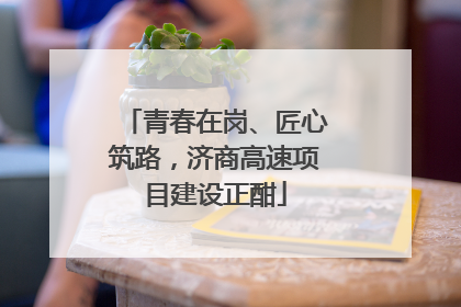 青春在岗、匠心筑路，济商高速项目建设正酣