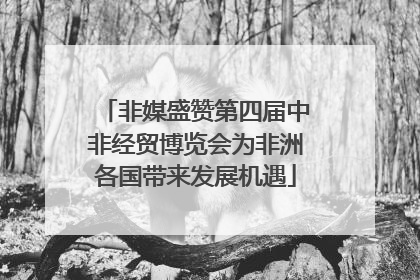 非媒盛赞第四届中非经贸博览会为非洲各国带来发展机遇