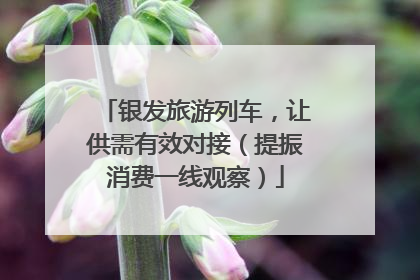 银发旅游列车，让供需有效对接（提振消费一线观察）