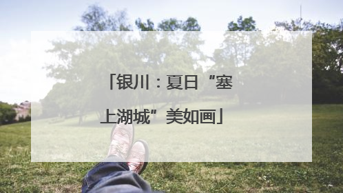 银川：夏日“塞上湖城”美如画