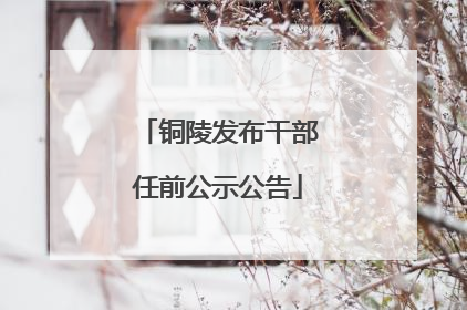 铜陵发布干部任前公示公告