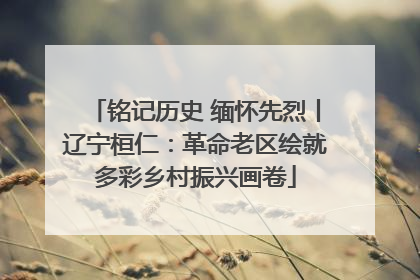 铭记历史 缅怀先烈丨辽宁桓仁：革命老区绘就多彩乡村振兴画卷