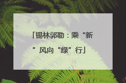 锡林郭勒：乘“新”风向“绿”行