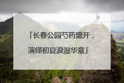 长春公园芍药盛开，演绎初夏浪漫华章