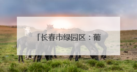长春市绿园区：葡萄园里绿意浓 “紫色经济”焕新枝