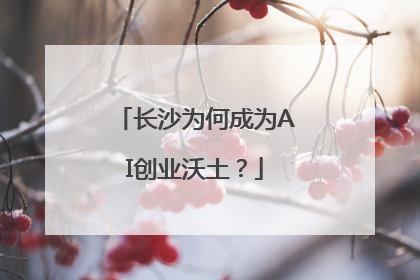 长沙为何成为AI创业沃土？