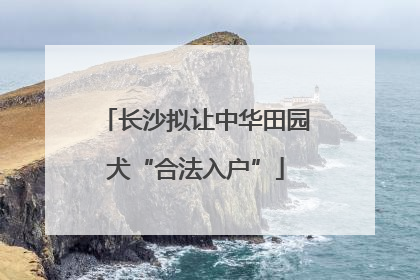 长沙拟让中华田园犬“合法入户”