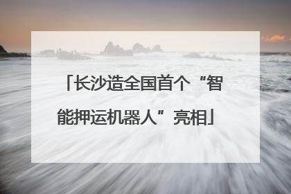 长沙造全国首个“智能押运机器人”亮相