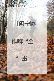 闽宁协作孵“金”蛋
