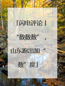 闪电评论丨“数数数”，山东跑出加“数”度