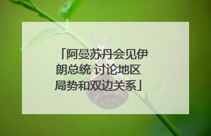 阿曼苏丹会见伊朗总统 讨论地区局势和双边关系