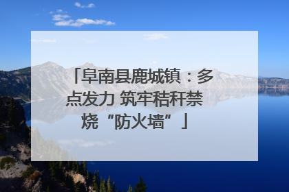 阜南县鹿城镇：多点发力 筑牢秸秆禁烧“防火墙”